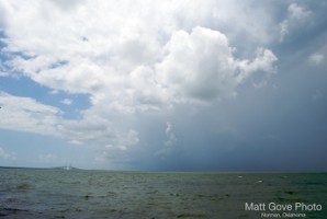 Picture 8