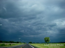 Picture 13