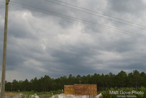 Picture 17