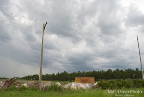 Picture 19