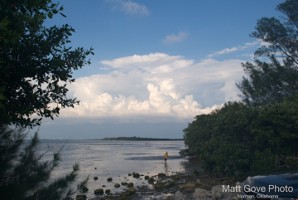 Picture 36