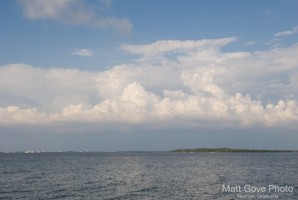 Picture 42
