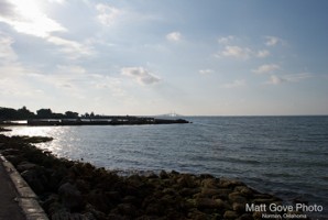 Picture 44