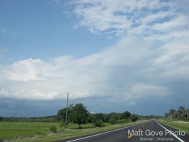Picture 6
