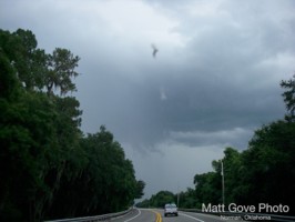 Picture 13