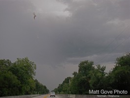 Picture 14