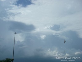 Picture 8