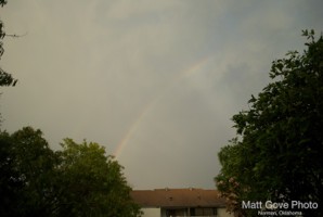 Picture 12