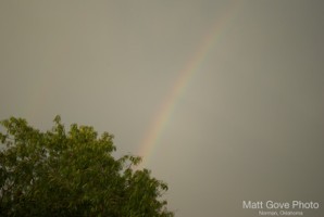 Picture 14
