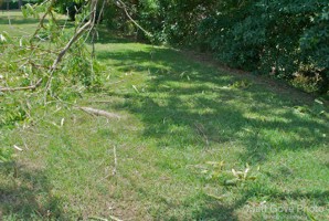 Picture 24