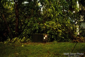 Picture 3