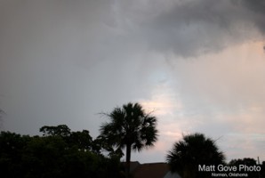 Picture 25