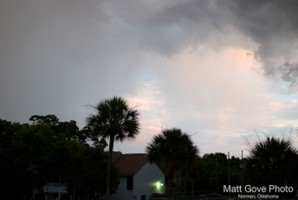 Picture 29
