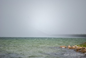 Picture 21