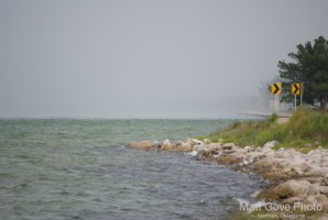 Picture 50