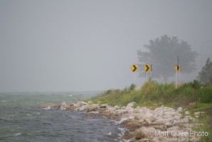 Picture 81