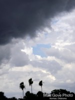 Picture 23