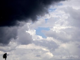 Picture 24