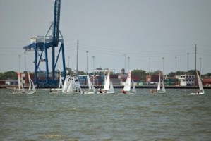 Picture 11