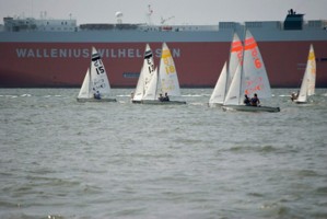 Picture 12