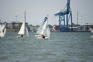 Picture 15