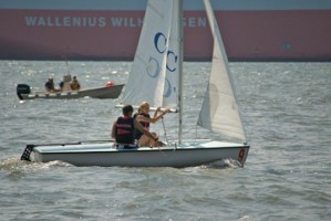 Picture 23