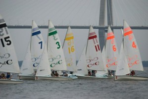 Picture 27