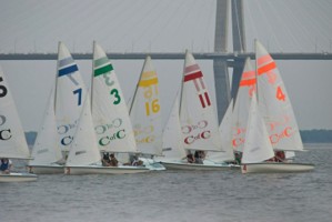 Picture 28
