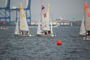 Picture 30