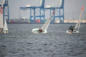 Picture 31