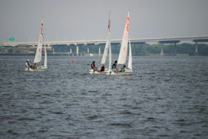 Picture 35