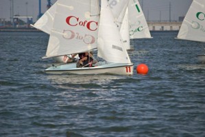 Picture 40