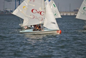 Picture 41