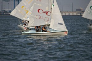 Picture 42