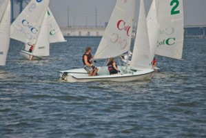 Picture 43