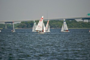 Picture 45