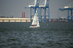Picture 48