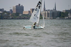 Picture 5