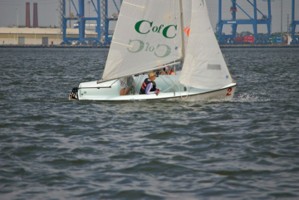 Picture 51