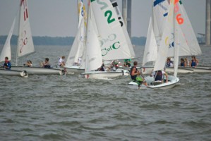 Picture 59