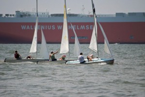 Picture 6
