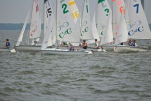 Picture 61
