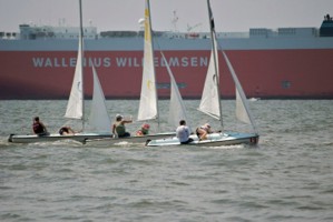 Picture 7