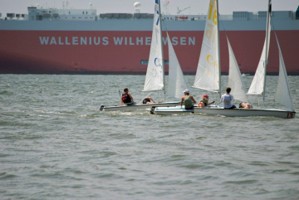 Picture 8