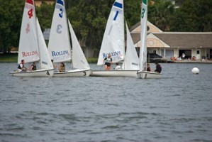 Picture 13