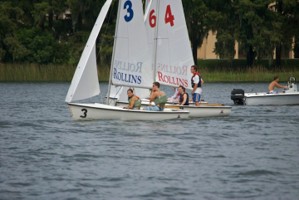 Picture 14