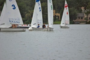 Picture 16