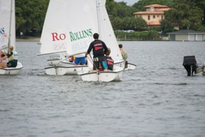 Picture 19