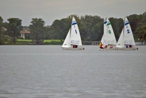 Picture 2