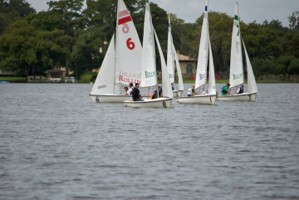 Picture 25